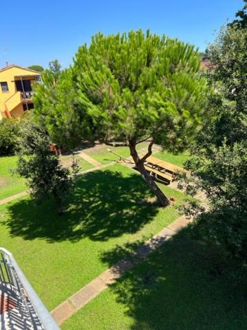 Complesso Oasi Apartment Tirrenia